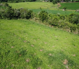 regularização ambiental