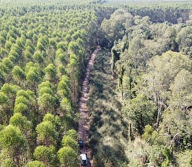 consultoria ambiental