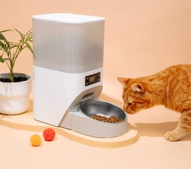 a cat is standing next to a cat