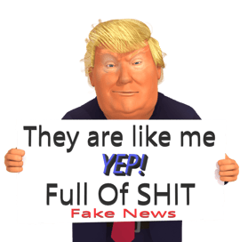 a cartoon trump stating things we know Fake News visual communication design By Lance Scott MadKiwi