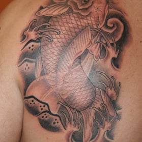 Asiatischer Koifisch