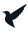 Bird_24/03/25