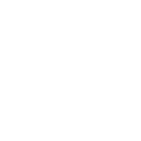 Han Jones logo