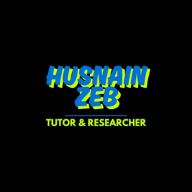 Muhammad Husnain Zeb logo