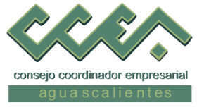 ExpoNetworking CCEA 2025 logo