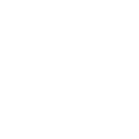 Carnes AA logo