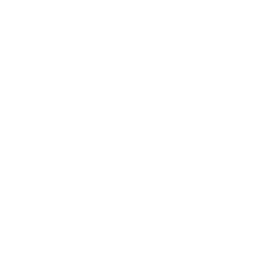 Ignite Your Purpose  logo