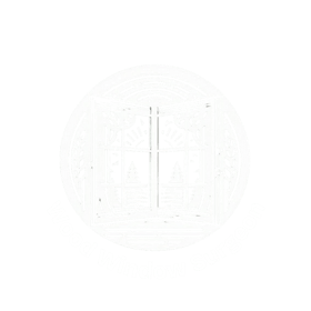 Wood Window Surgeon logo