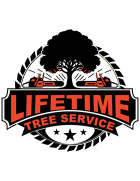 LIFETIME TREE SERVICE logo