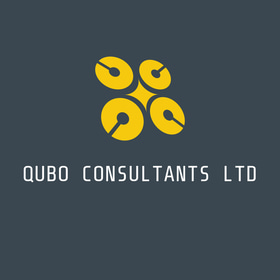 QUBO CONSULTANTS LTD logo