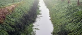 CJR AUDITS Ile de France noue gestion des eaux pluviales