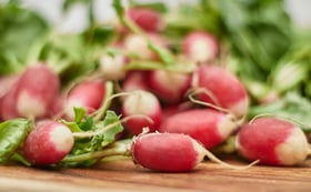culture de légumes racines