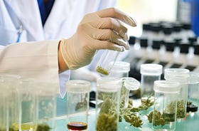 Lab tested