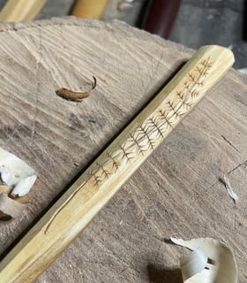 Kolorosing on spoon fern
