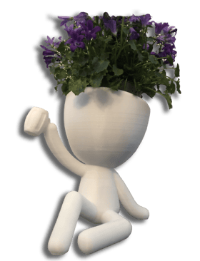 Pot de fleurs décoratifs