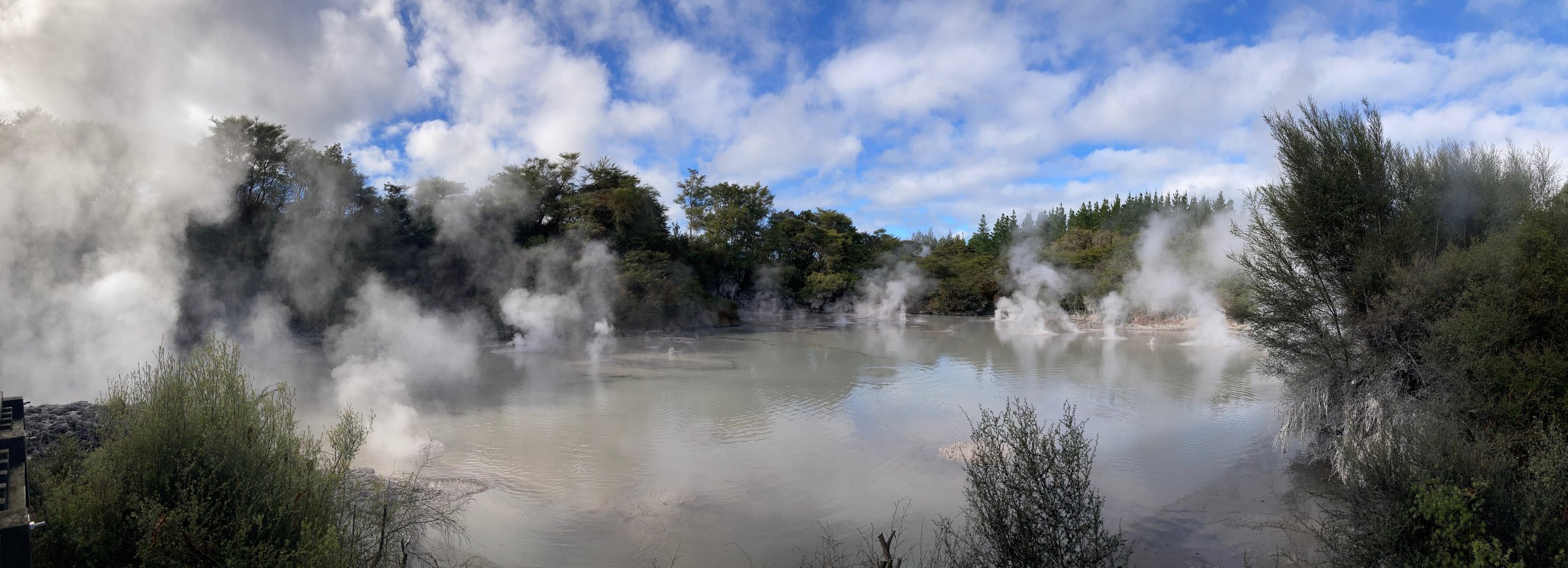 Mud Pool Rotorua