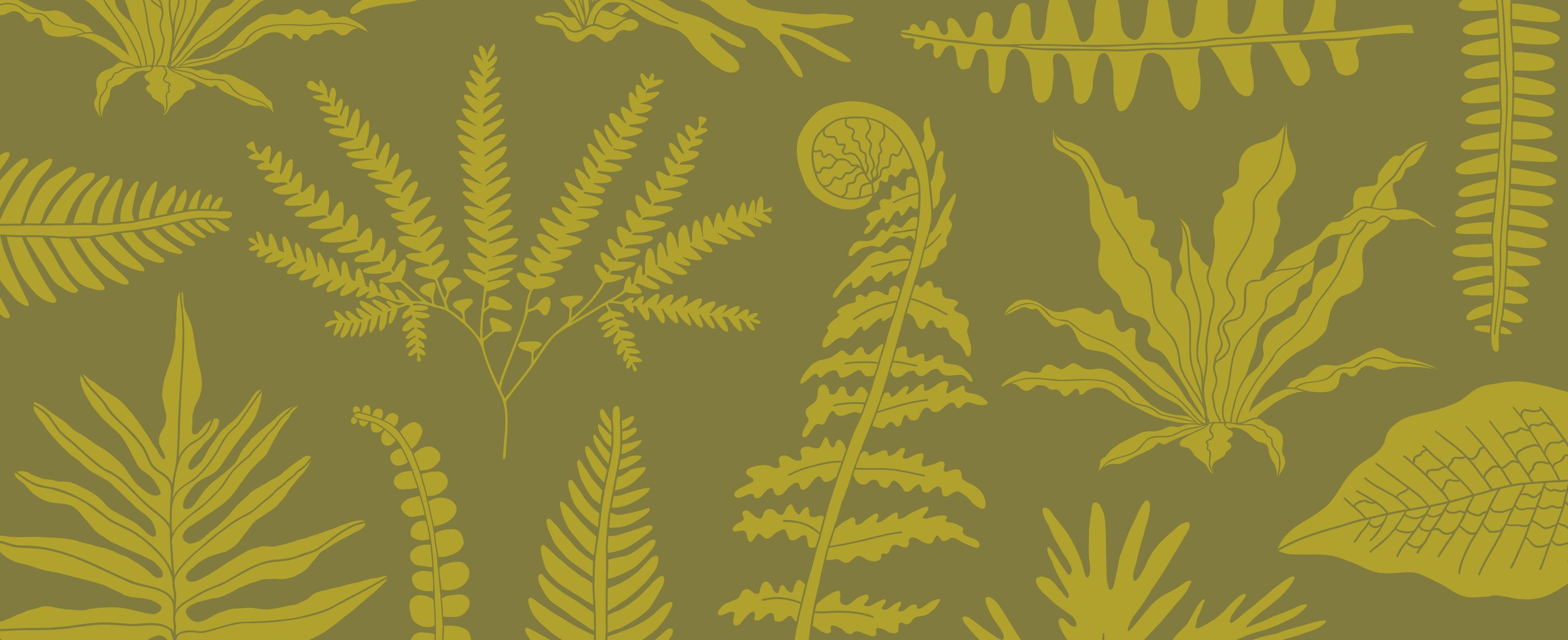 Fern City Brand Pattern of hand drawn illustrated ferns