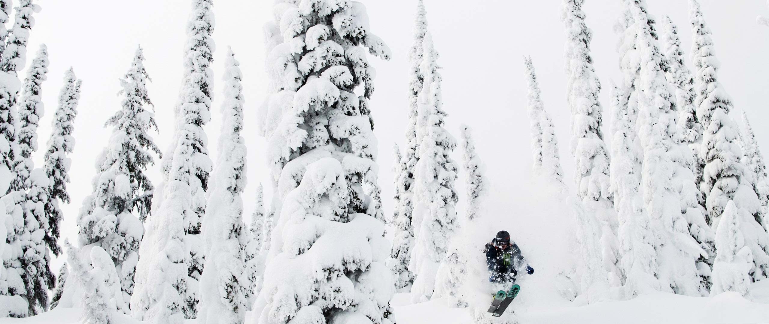 a person on a skis in the snow forest