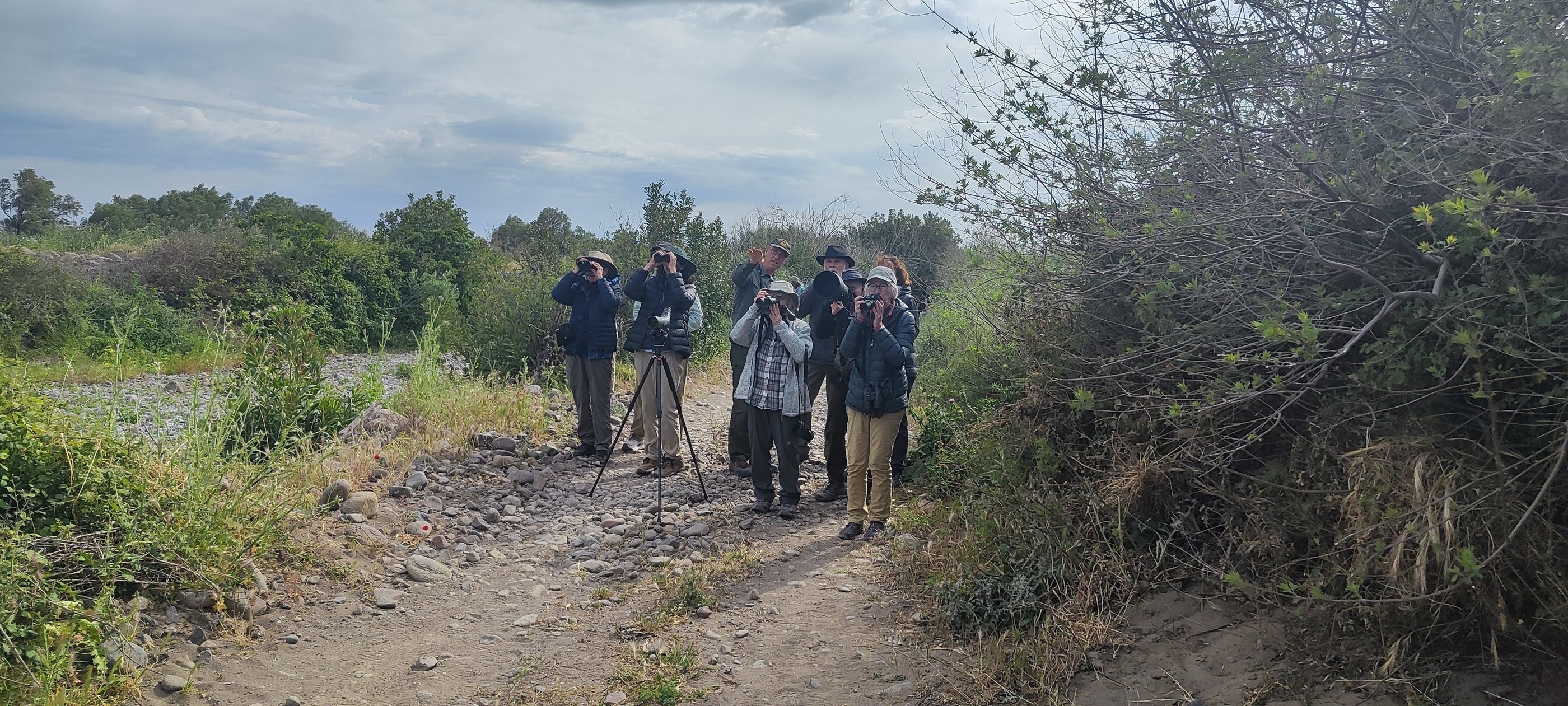 a group of people walking on a dirt road birdwatching