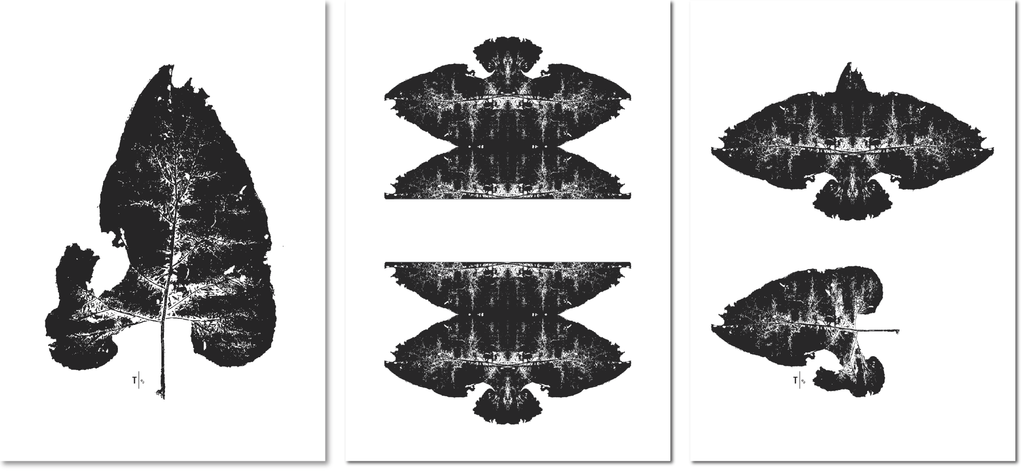 Schwarzer Blatt-Abdruck ergibt in der Spiegelung einen Vogel, kunstvolle Trauerkarte