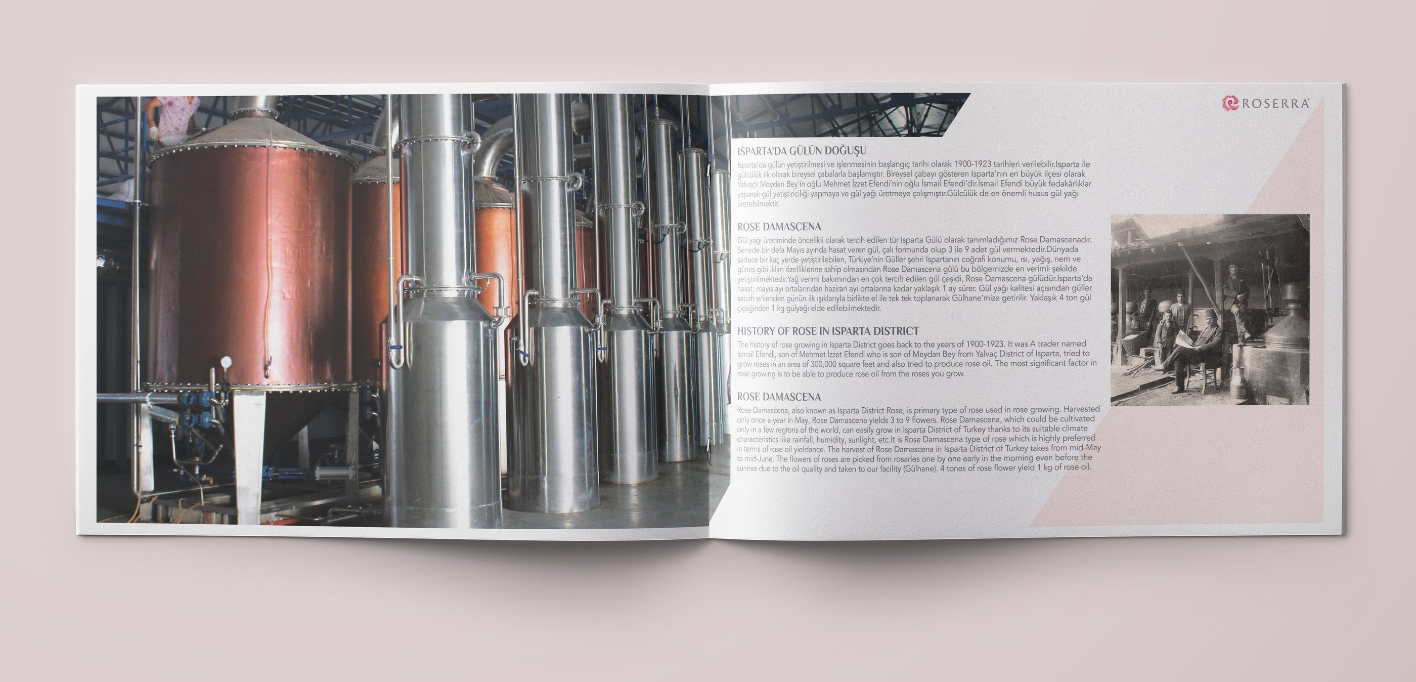 ceo marka reklam ajansı ısparta gül markası tasarımı