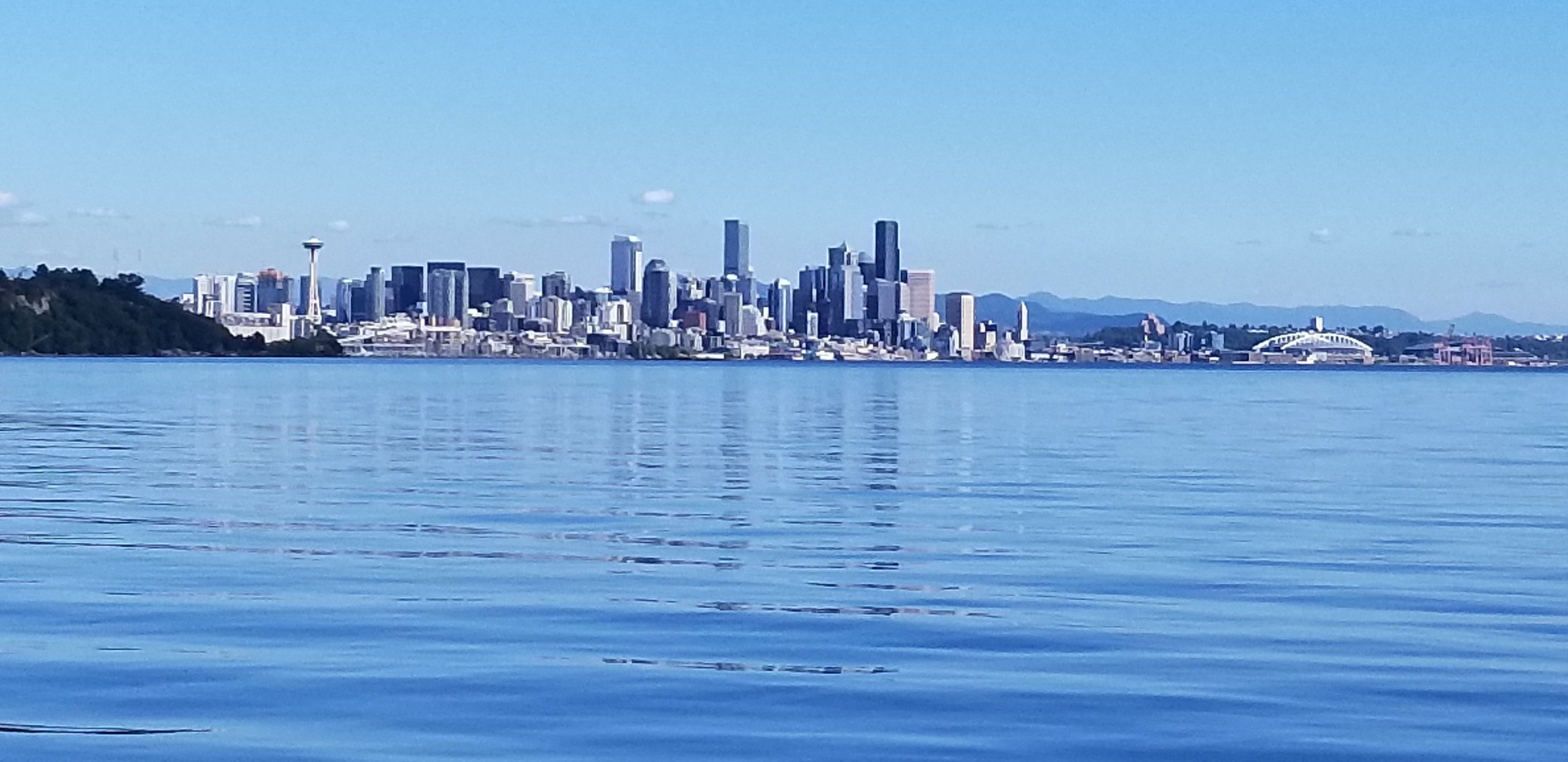 city skyline across the water