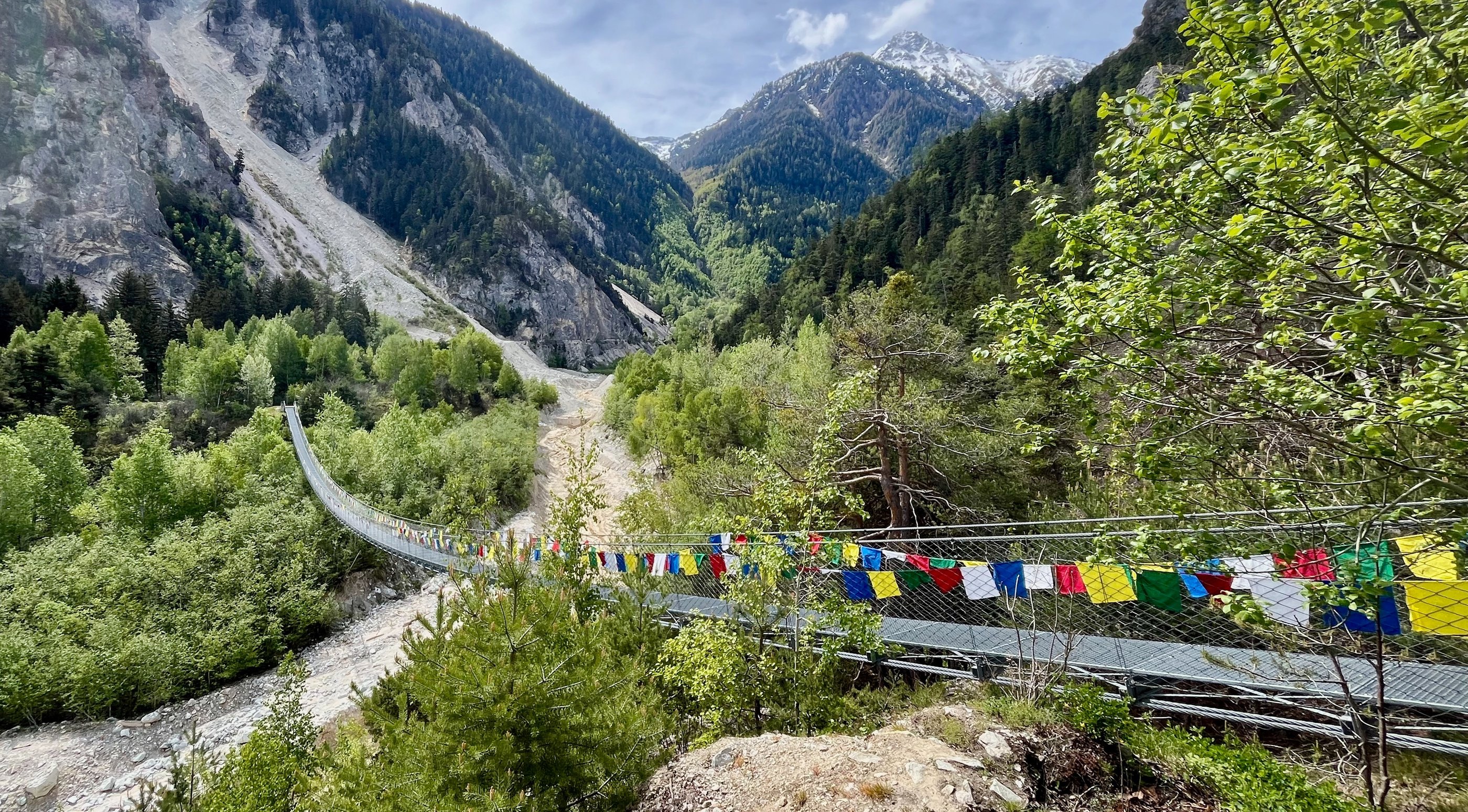View looking up the Illgraben at the Bhutan Brucke in Switzerland's Pfynwald Forest in the Valais