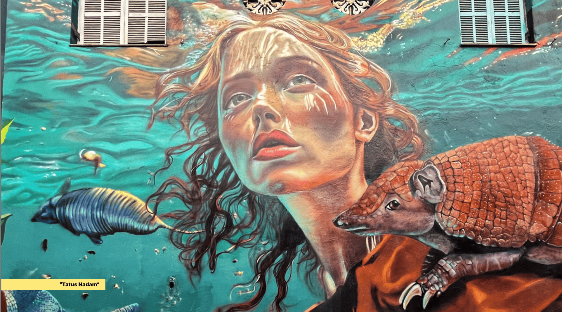 Jennifer Erny mergulhou na natureza do Tatuapé antes da urbanização, mostrando tatus nadando no Rio 