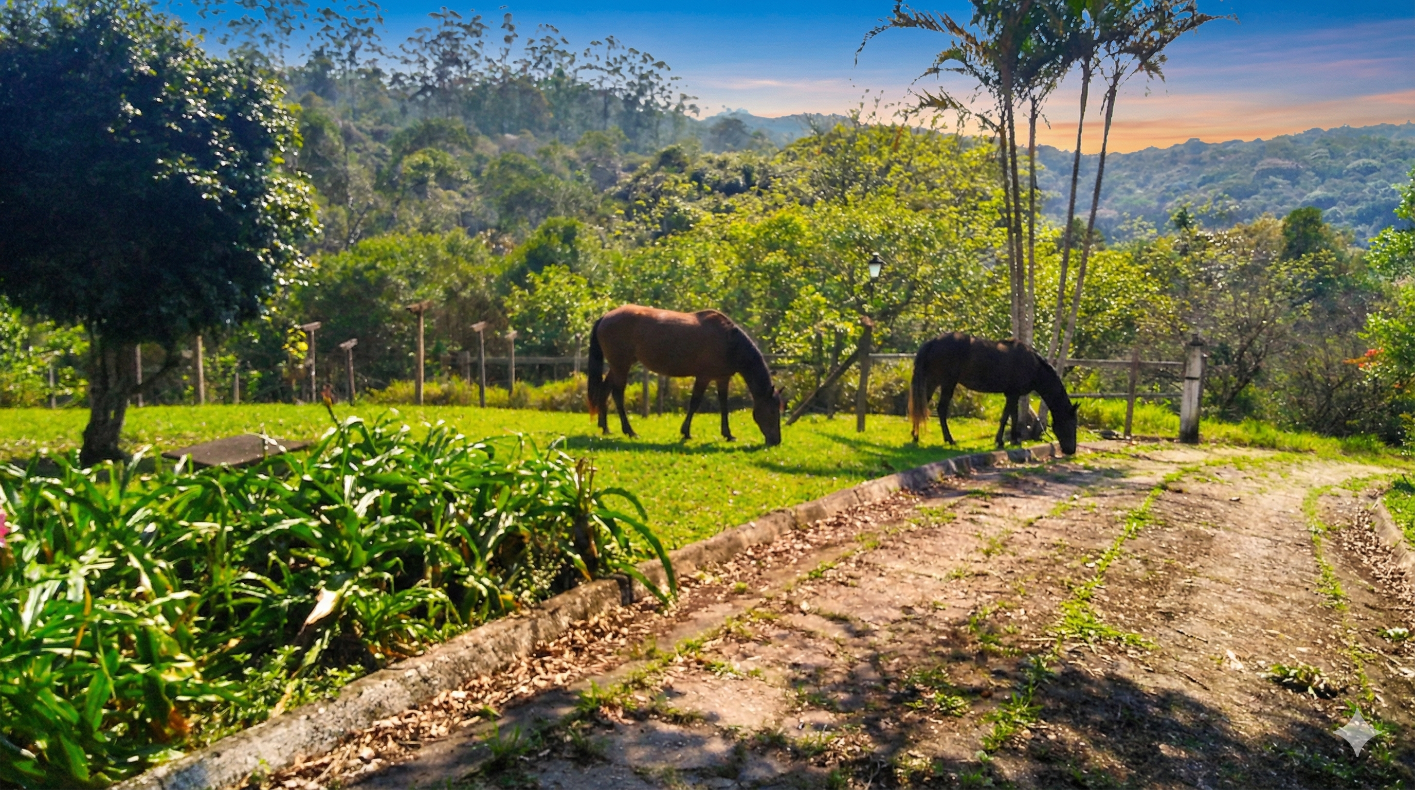 Turismo rural em Juquitiba: vivência com animais e natureza no Rancho São Bento.