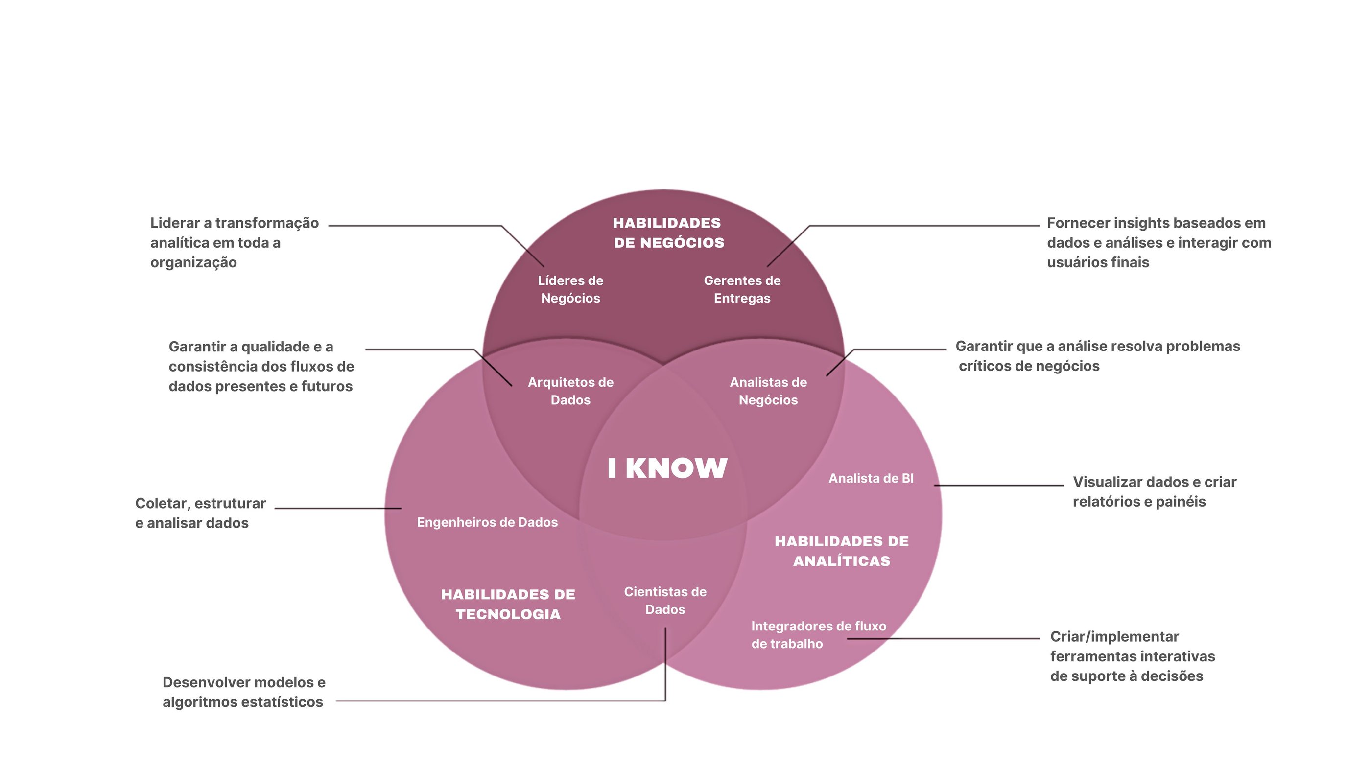 construção do próprio time de dados na empresa