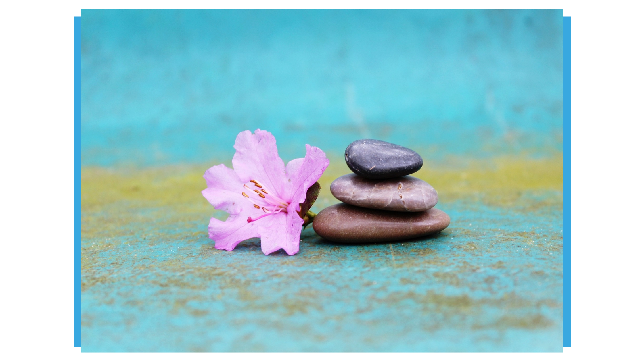 Flor e pedras em fundo azulado