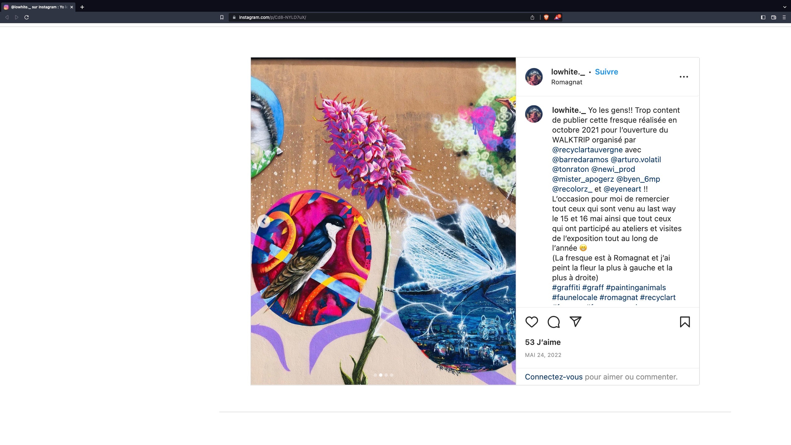 une fresque de fleur rose