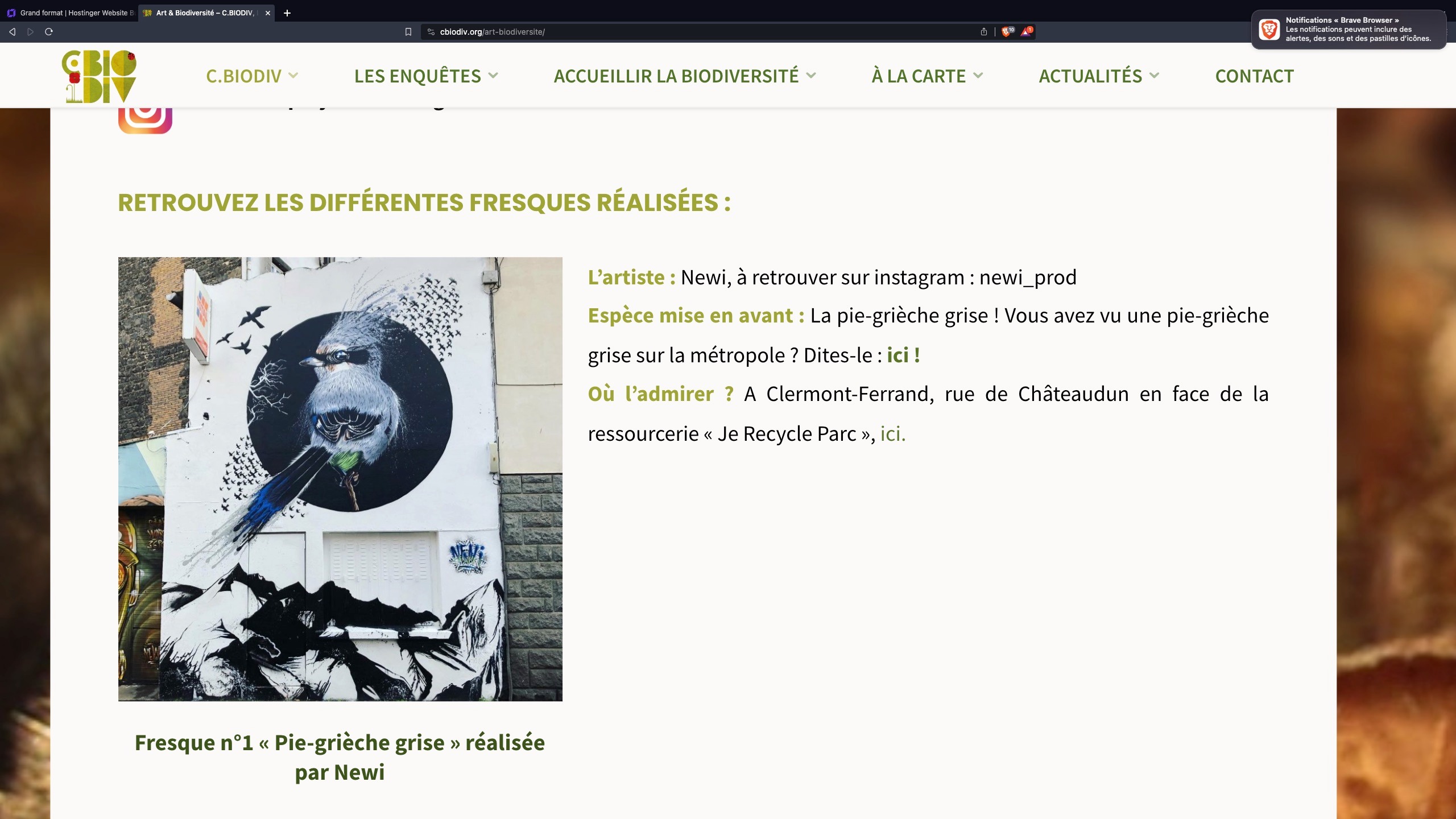 une fresque d'un oiseau noir gris et bleu