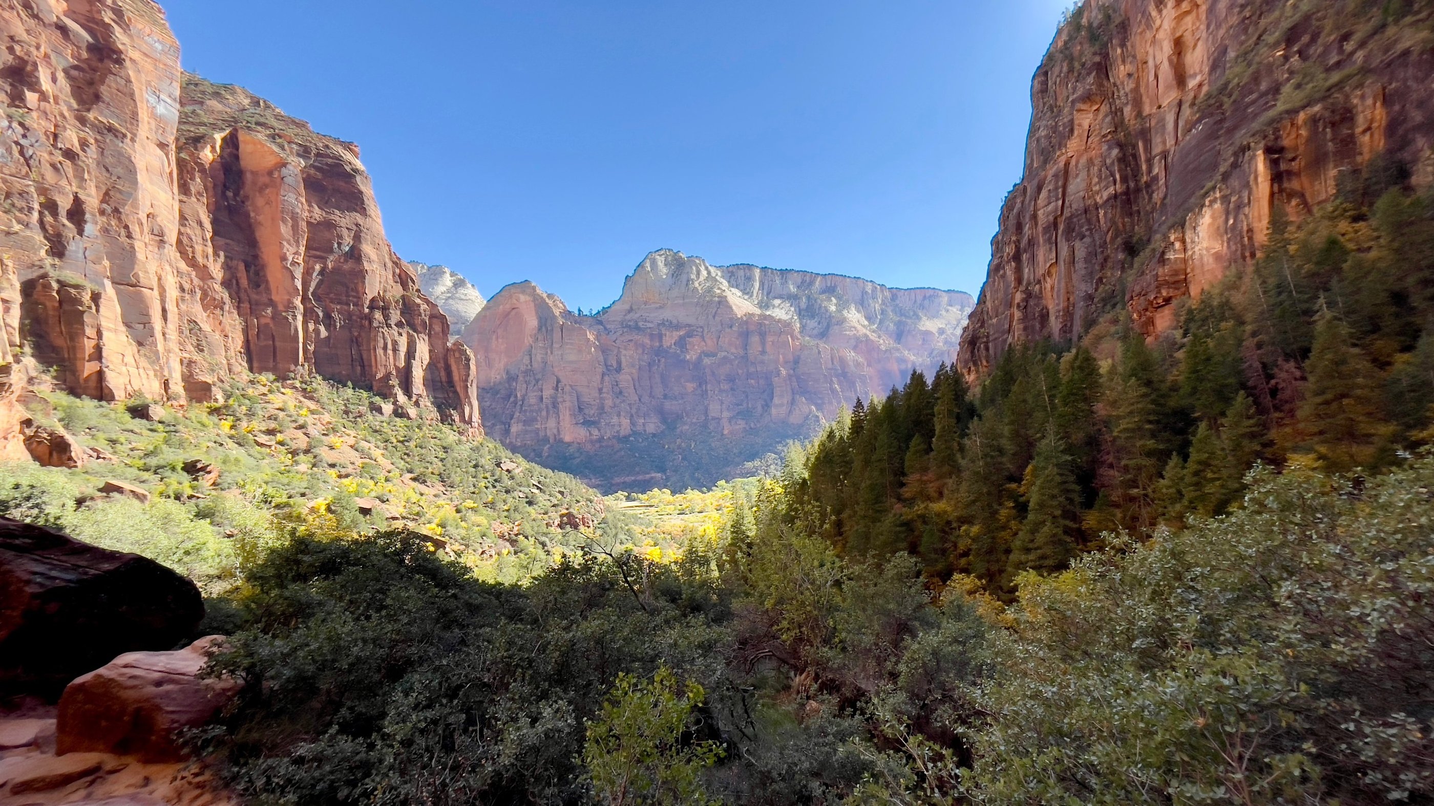 viBBes - high quality media appstore app