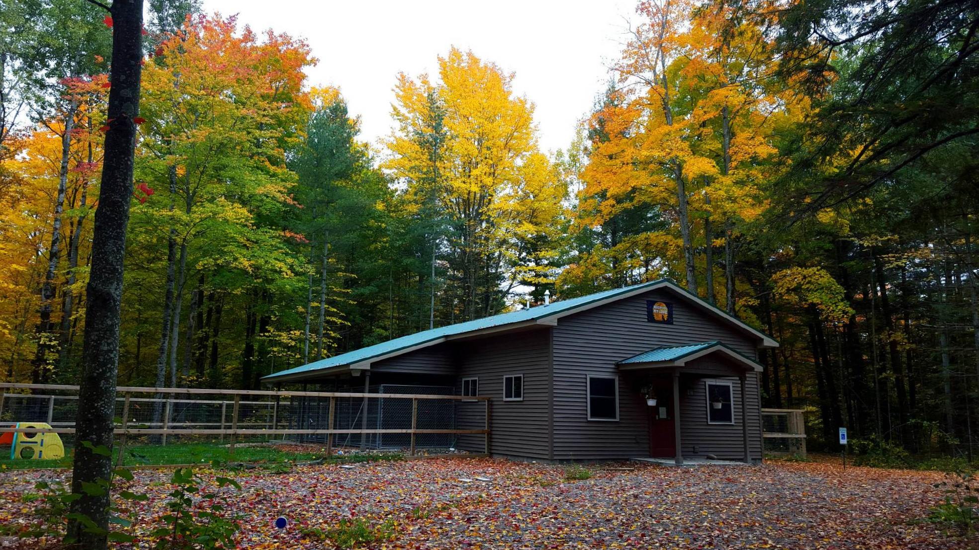outside picture of boarding kennel in the fall with leaves changing