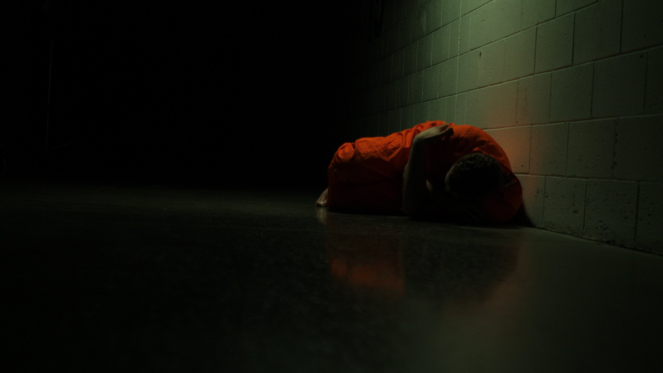 Stuart Ross, Terrified man, The Perfect Candidate, 2019