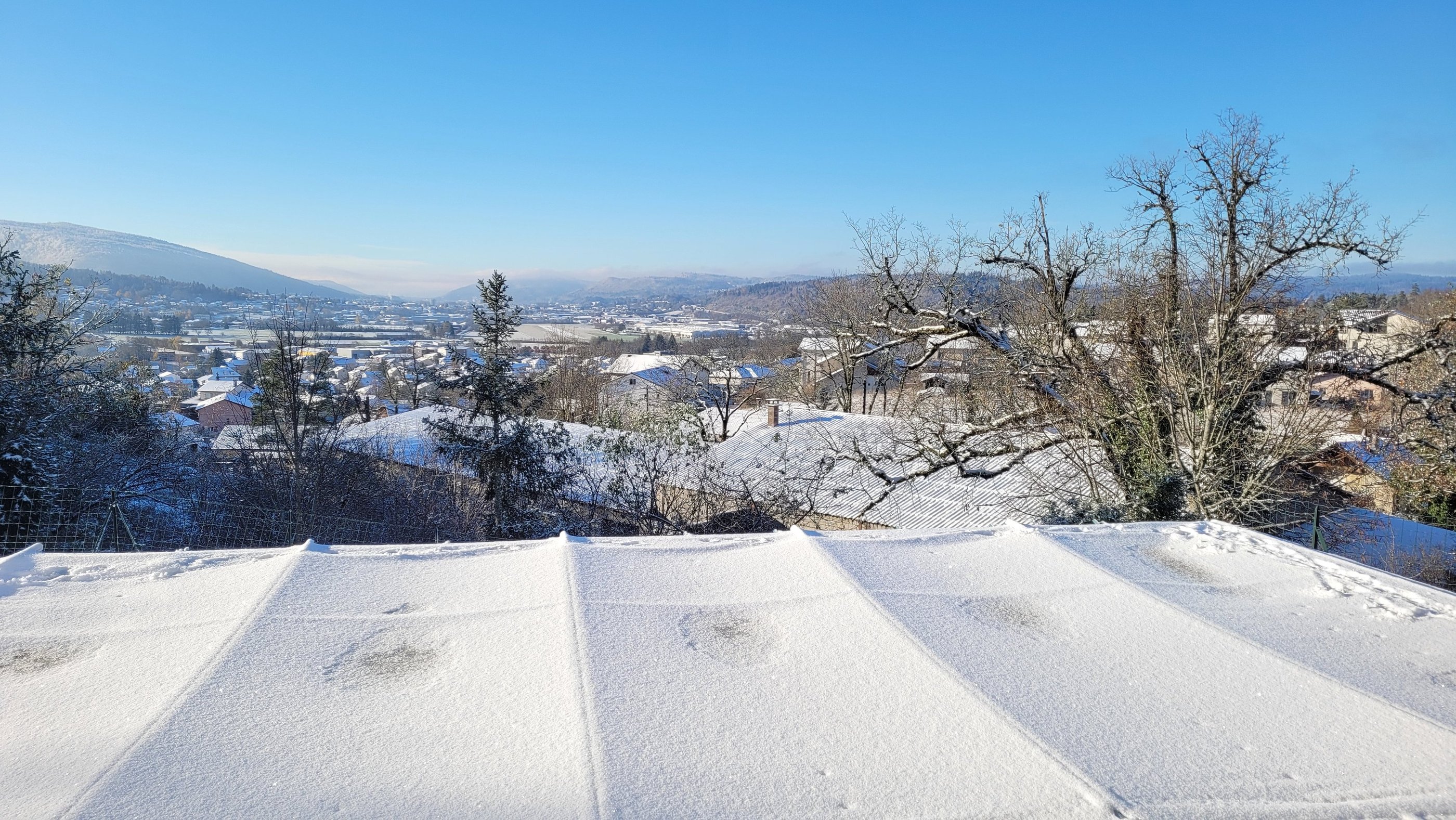 Vue depuis l'élevage de Schnauzers nains