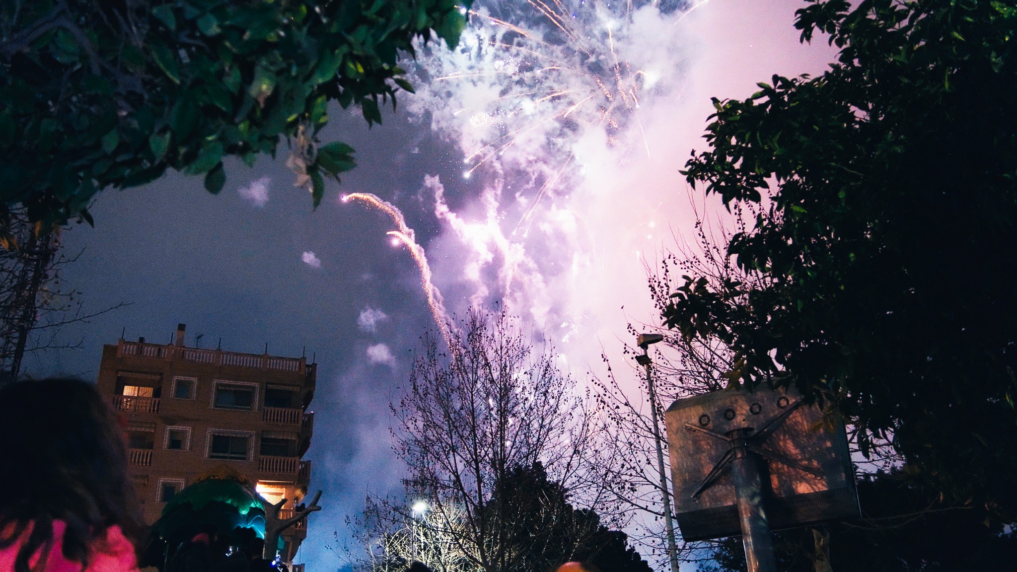 a group of people watching fireworks in the sky