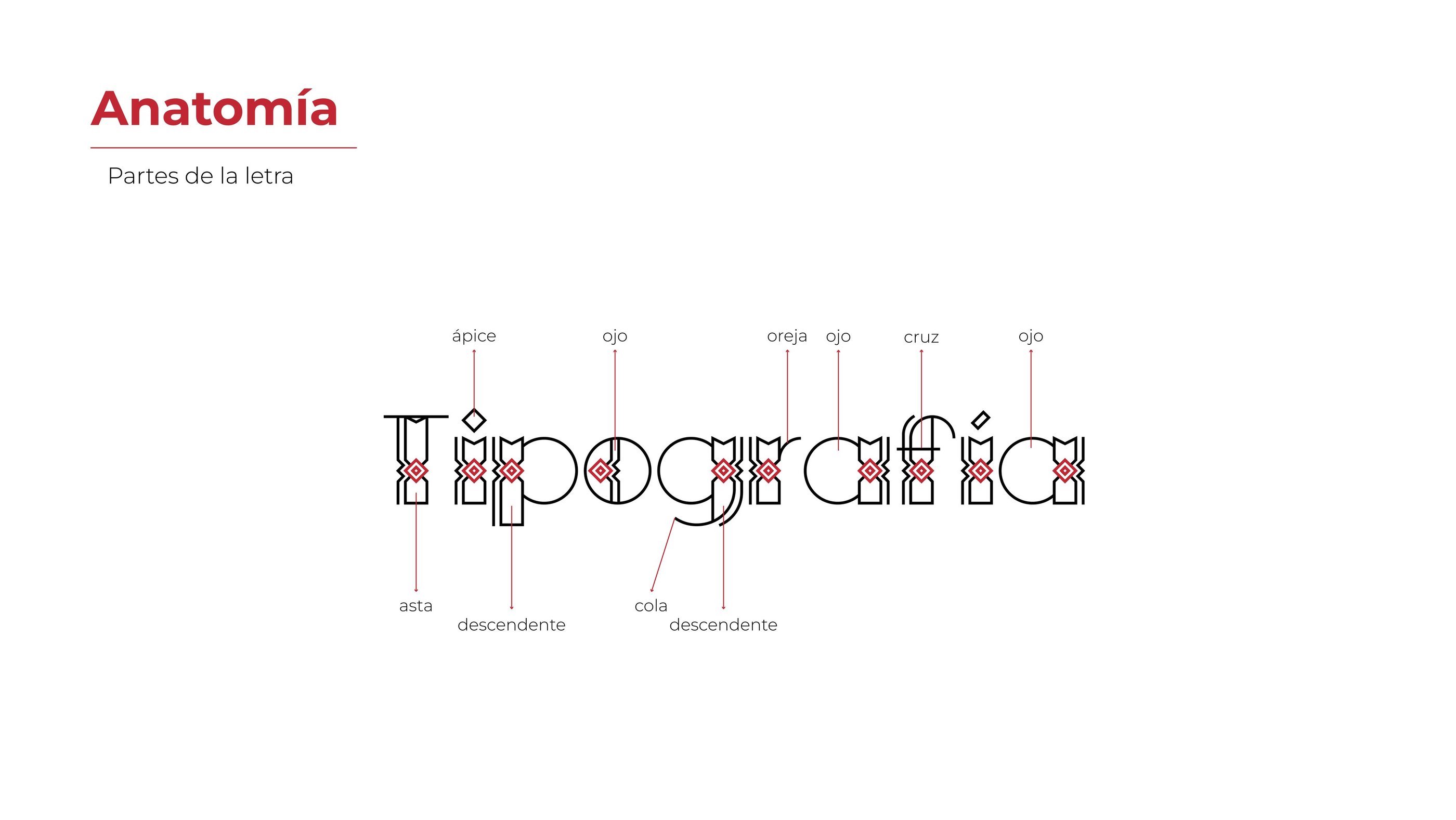 Partes de la letra inspirada en la iconografía de la Comunidad Yine