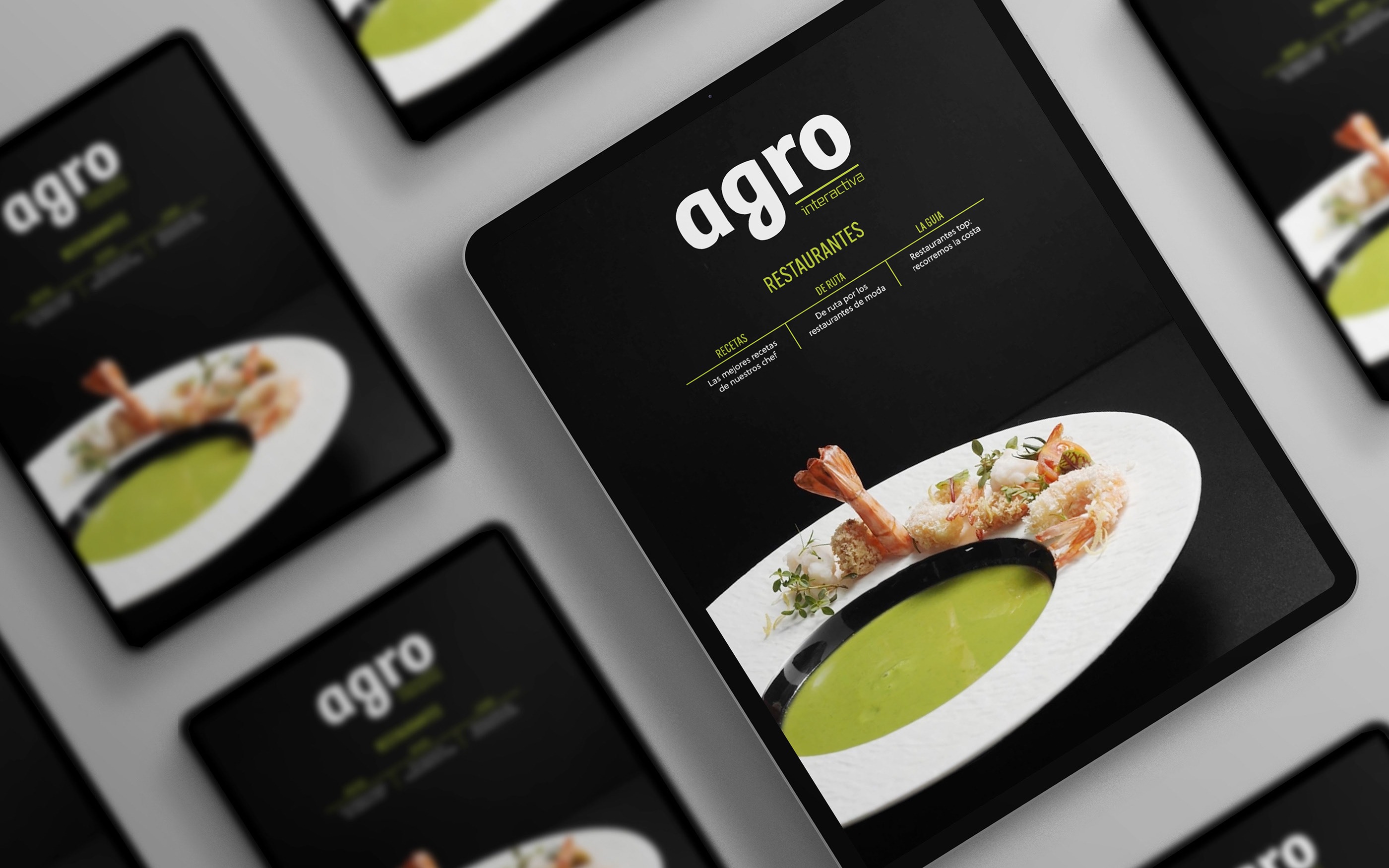 diseño epub agro magazine