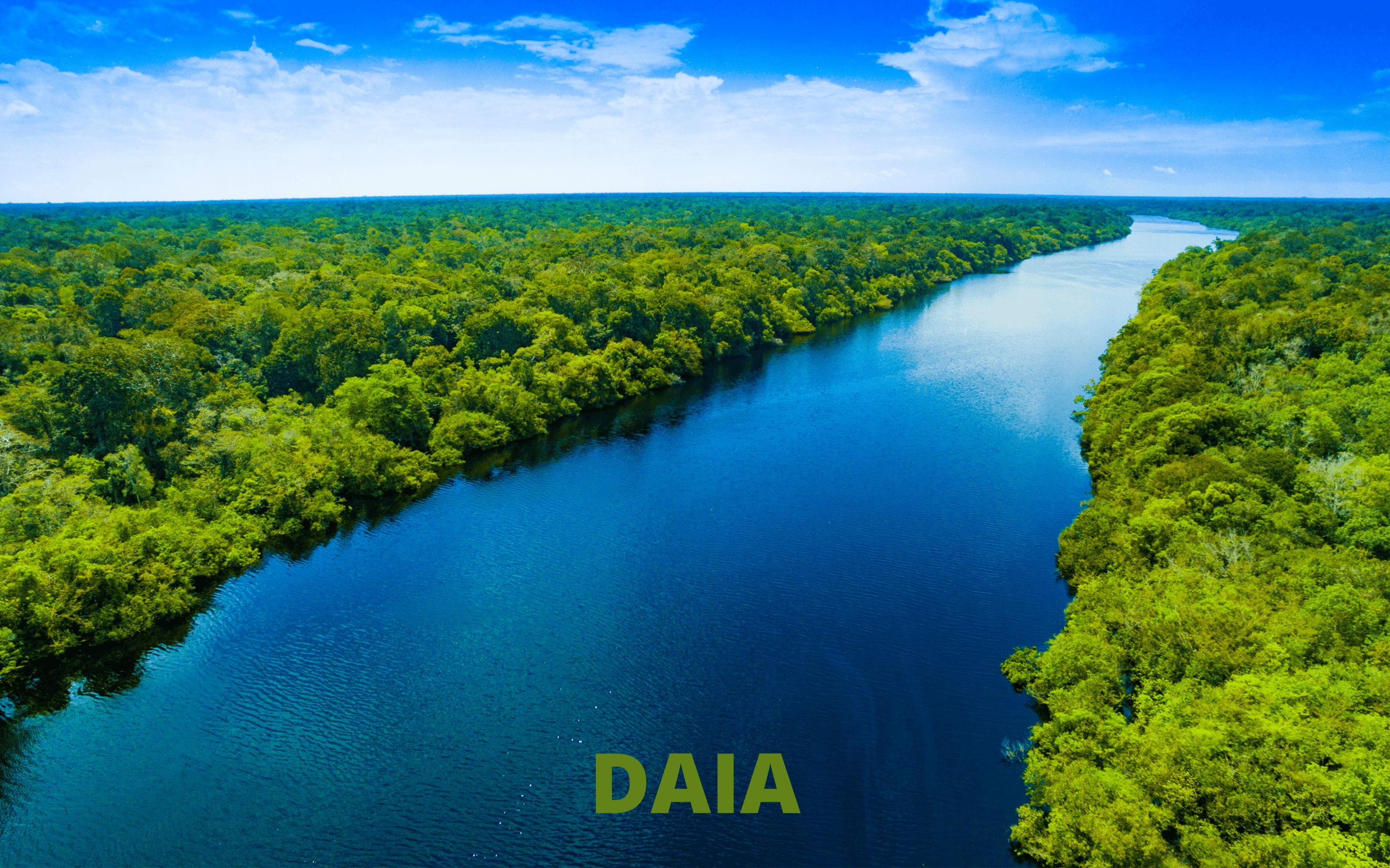 daia - licenciamento para área de app