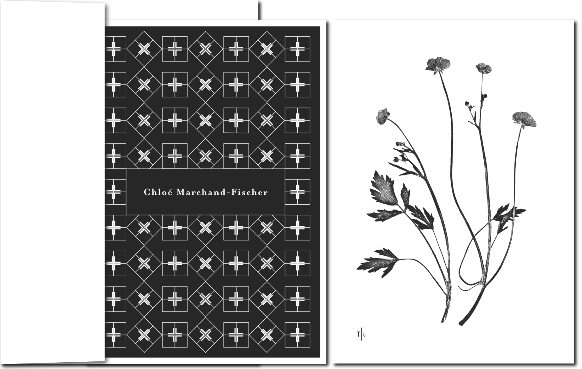 Letzter Gruß mit Ornament und minimalistischer Wiesenblume, zart.