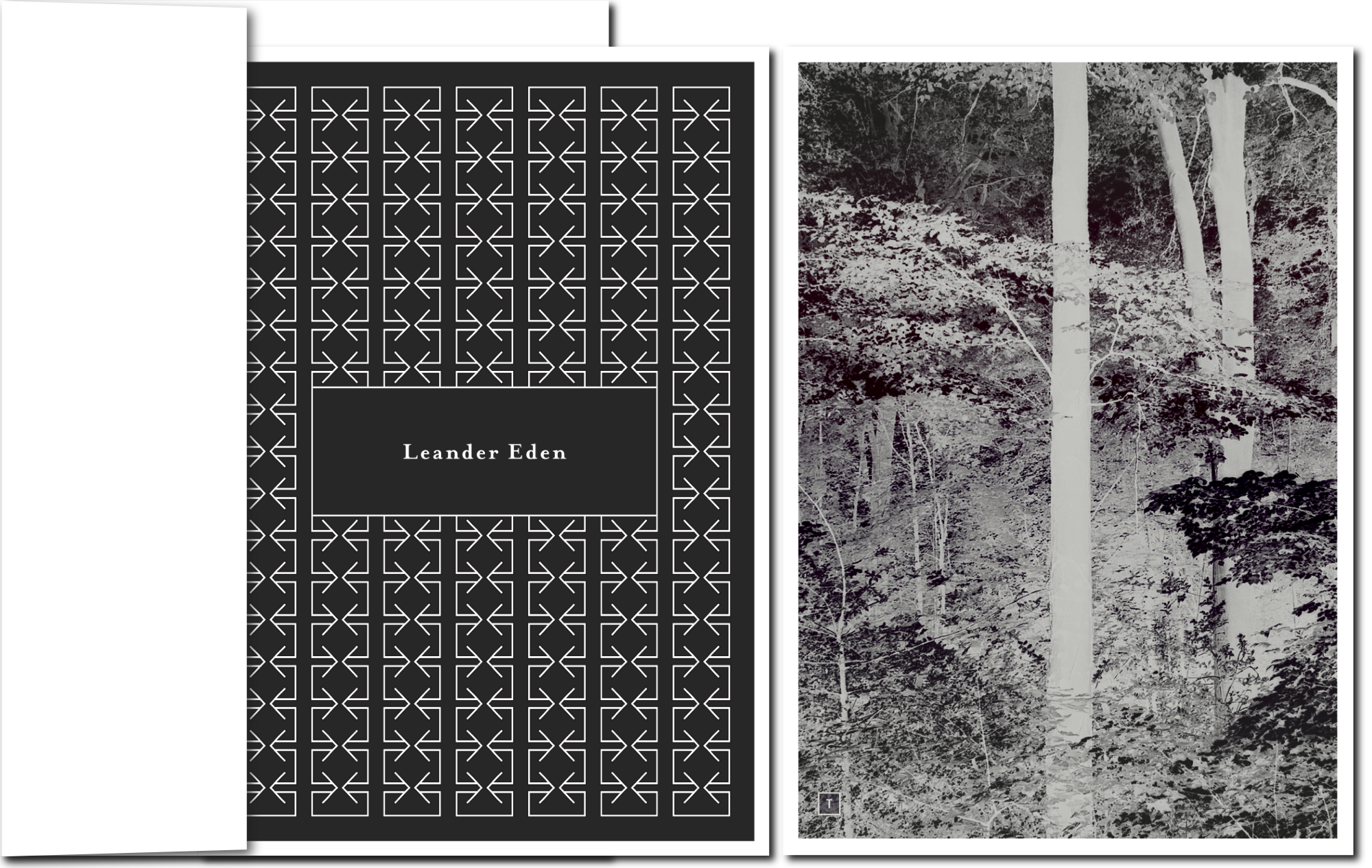 kontrastreicher Wald und Design-Ornament auf Trauerkarten