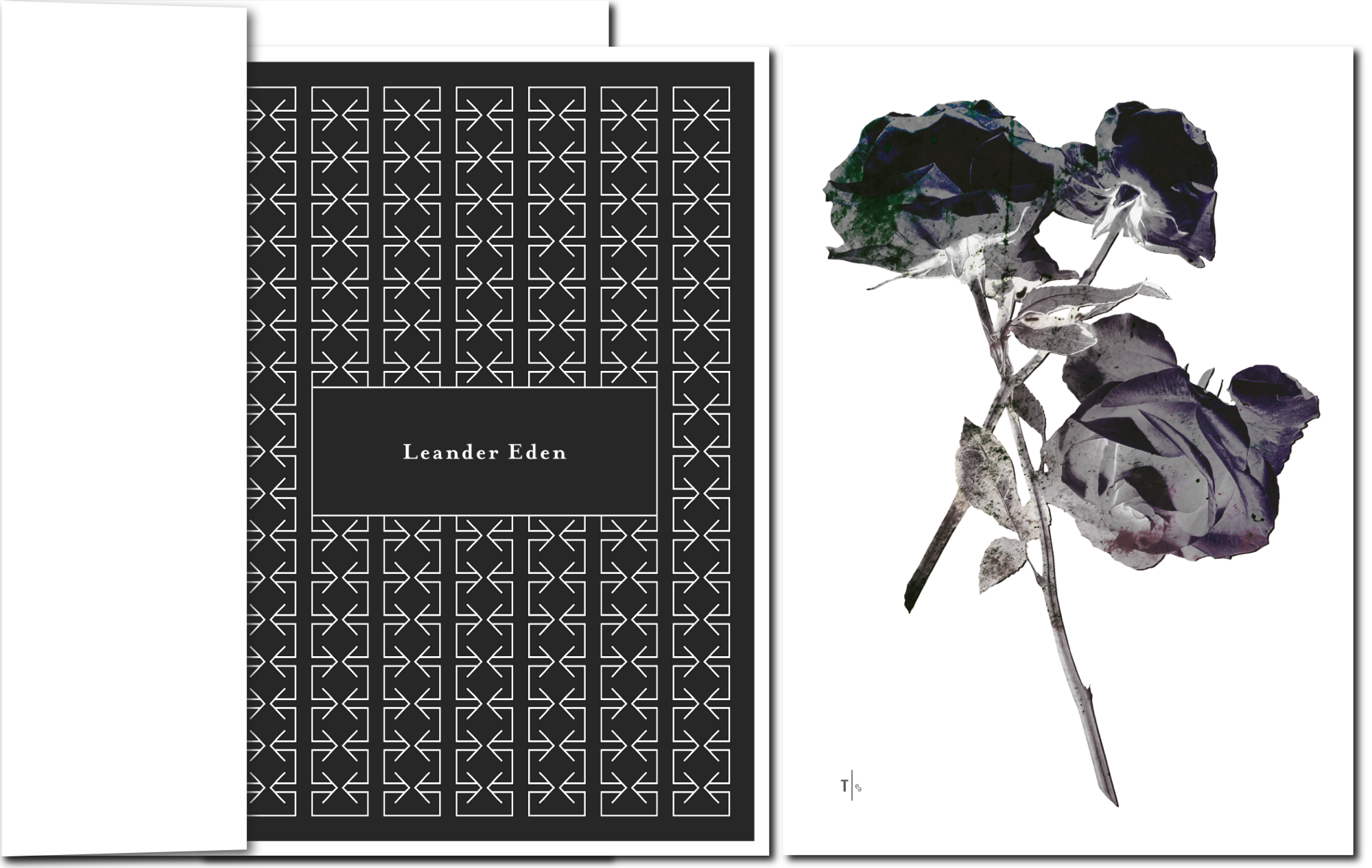 Schwarze Rosen zum Gedenken auf Trauerkarte