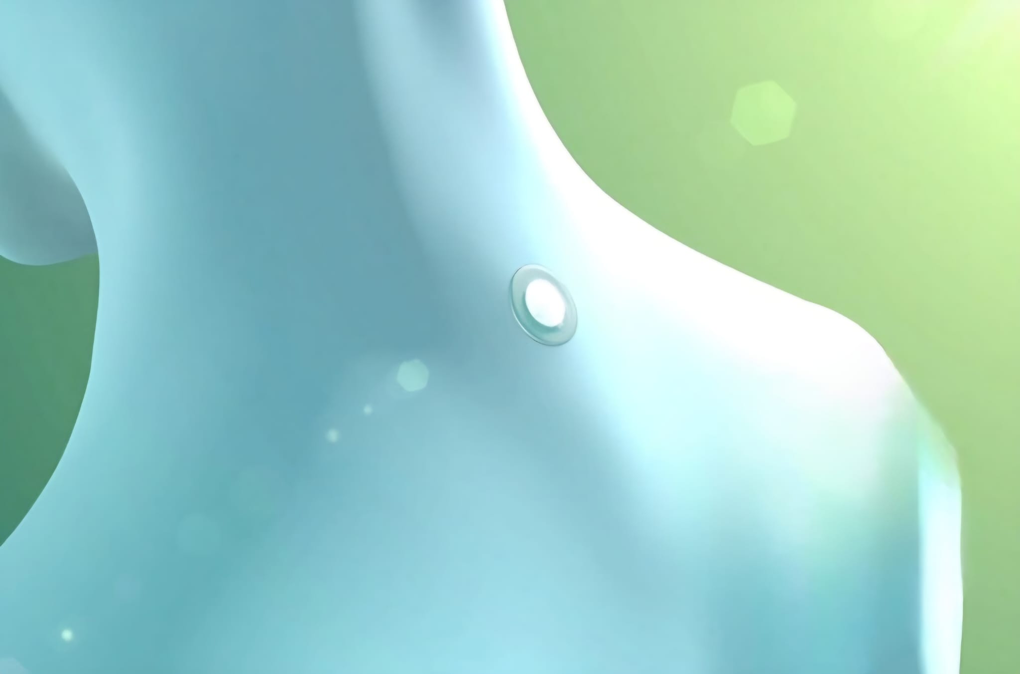 Patch on C7 vertebra