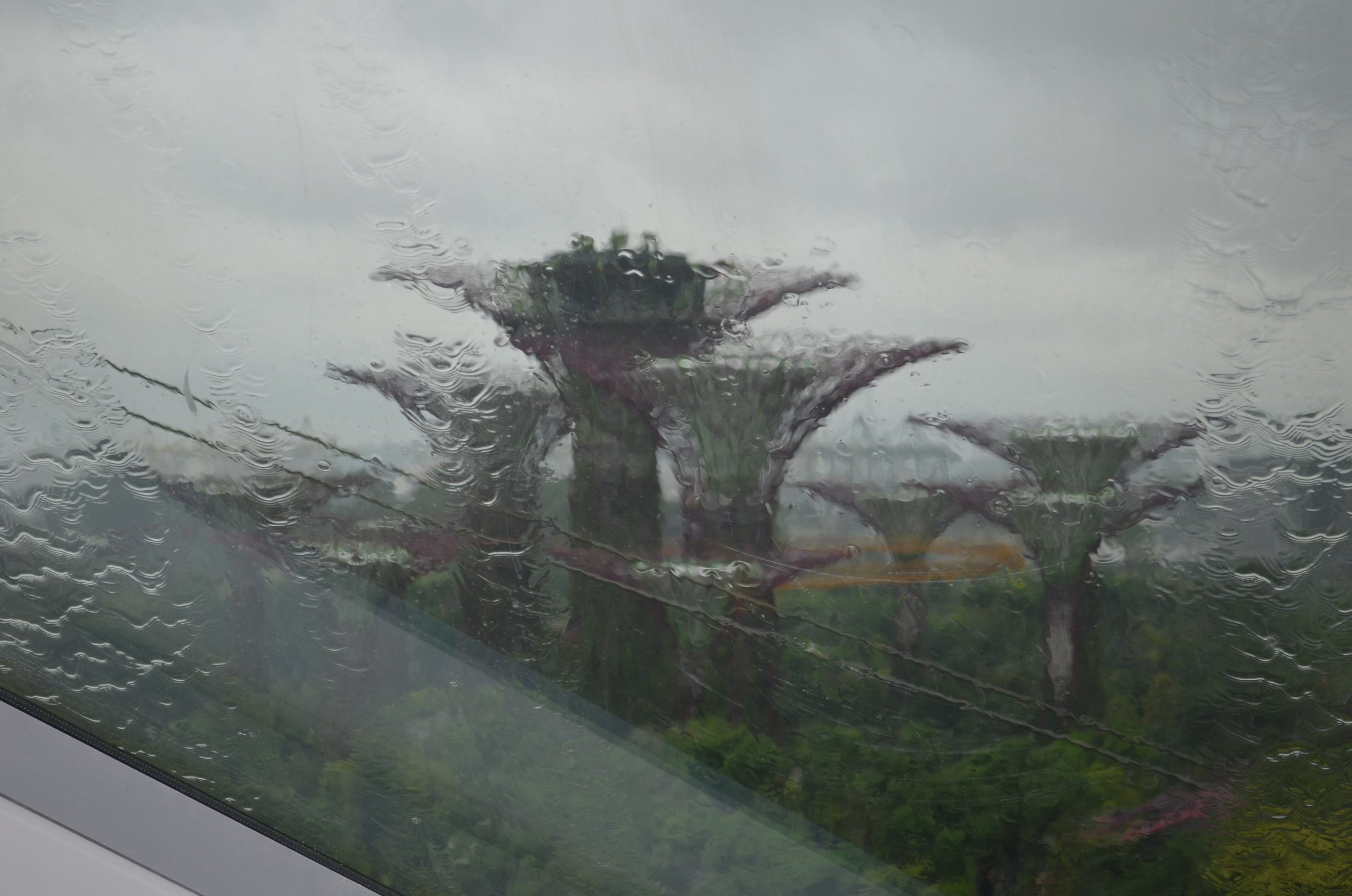 La fo^ret verte de Singapour