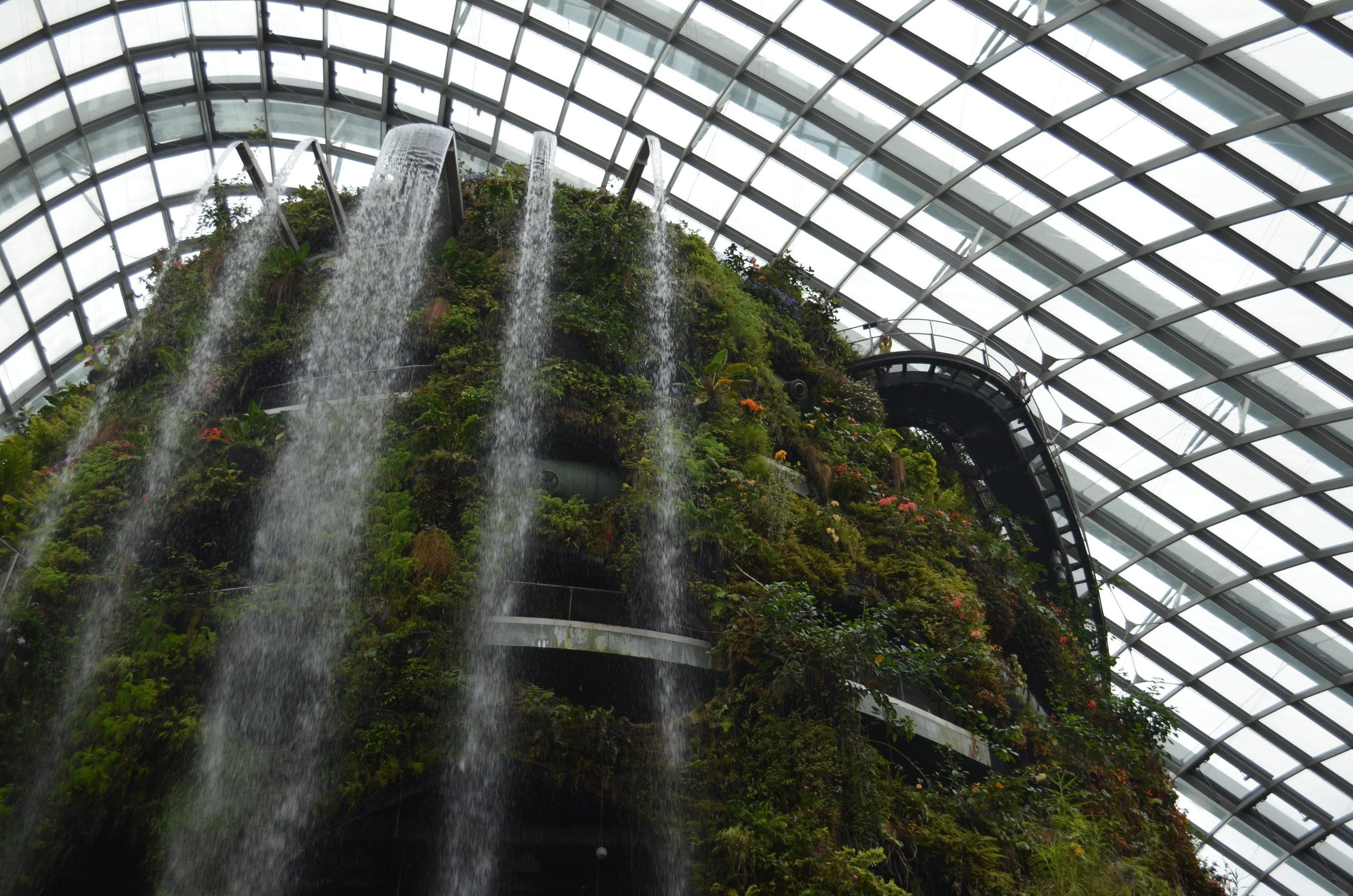 Photographie à l’intérieur de la Forêt de nuages de Singapour