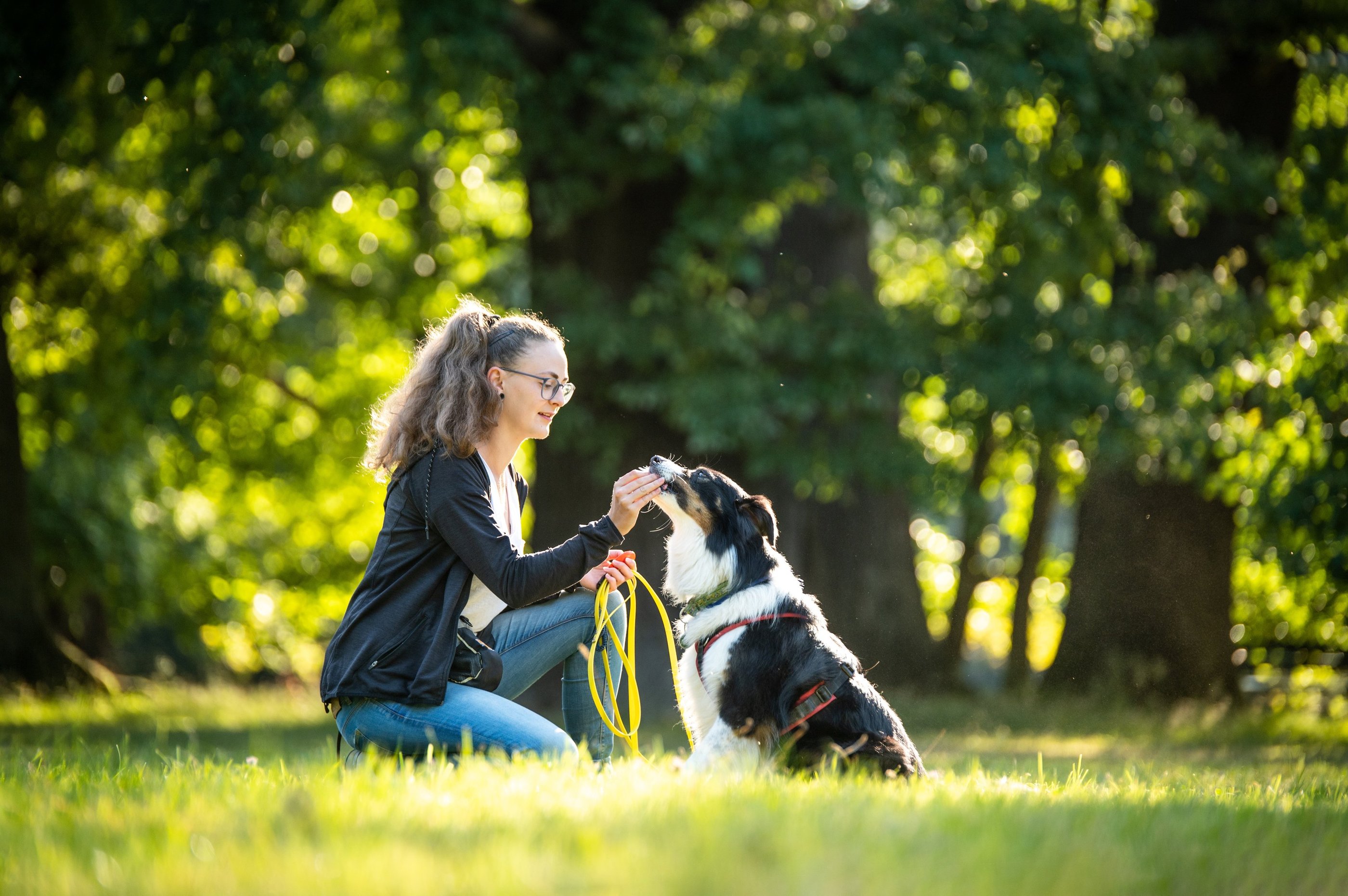 Trainerin beim Hundetraining im Alltag – Takoda Hundeschule Göttingen
