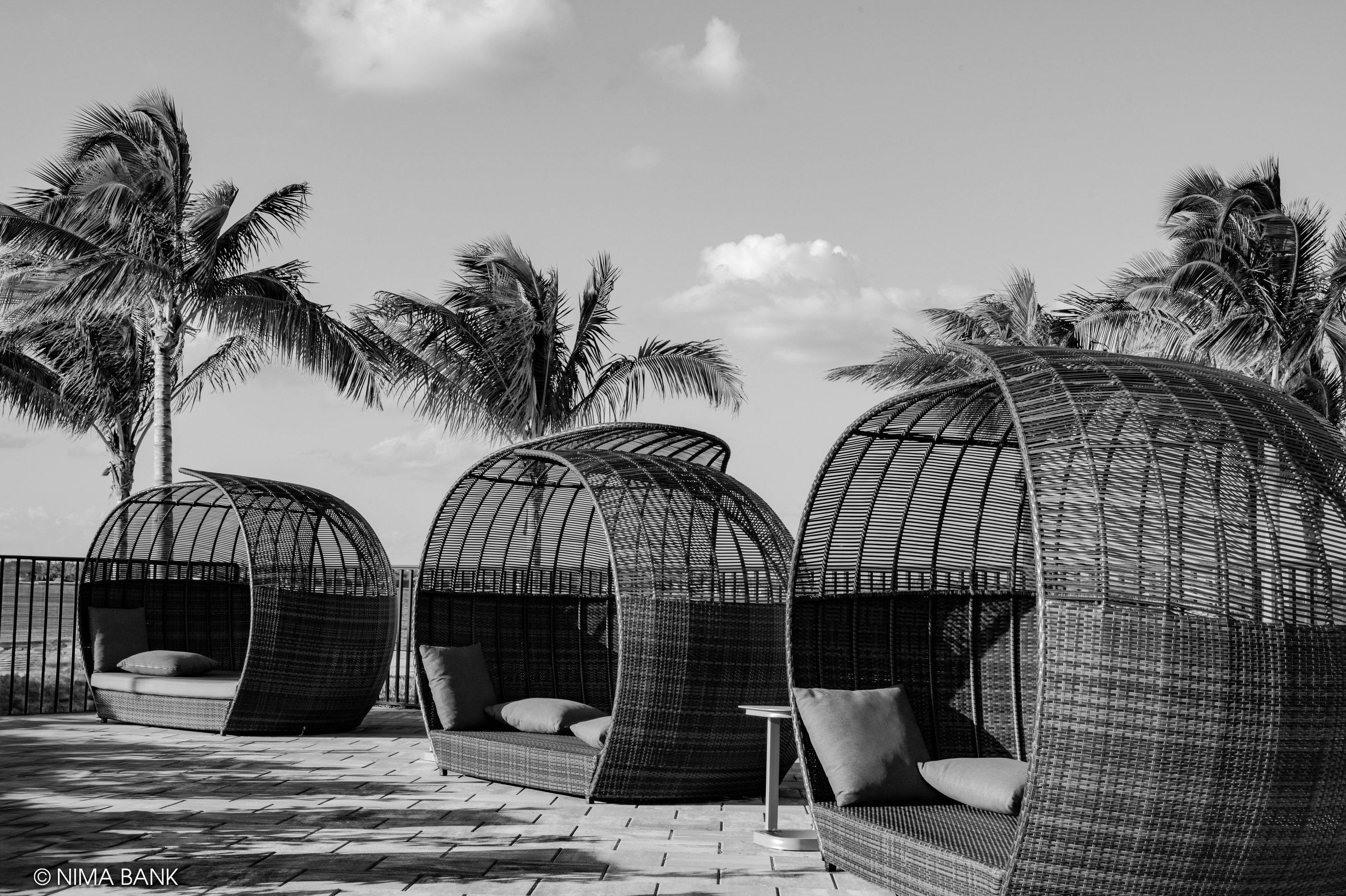 black and white shot of palm trees and wicker cabanas at wildblue resort in southwest florida