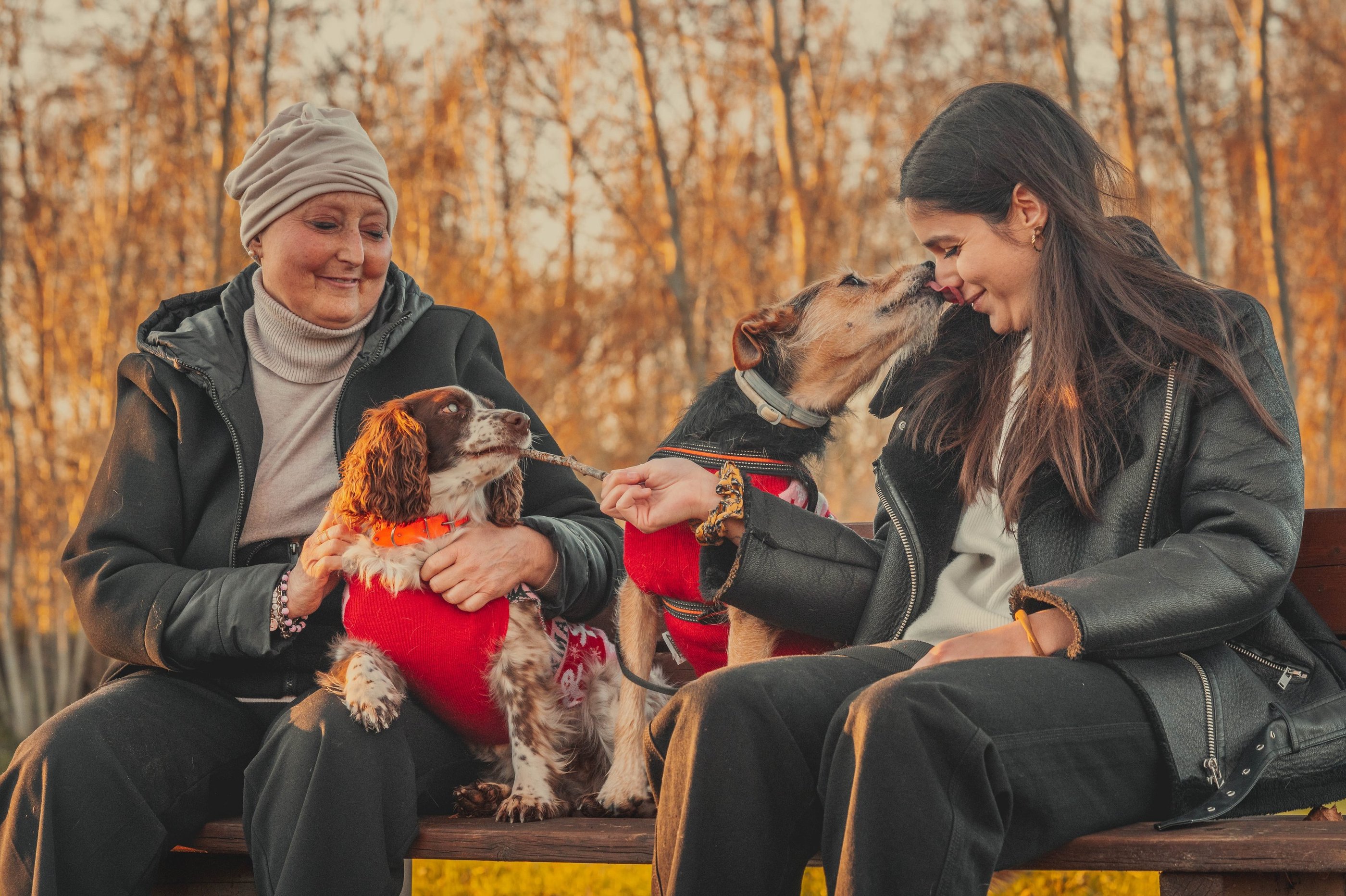 ragazza che gioca coi cani e la mamma sedute su una panchina